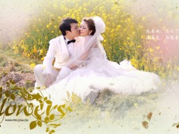 花---【品摄影】静态电影