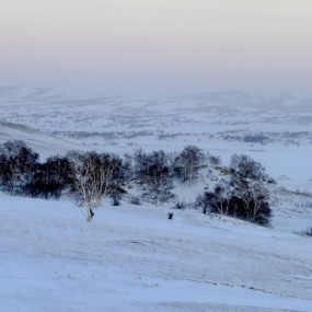 坝上冬日（二）