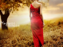 又是一年稻香时