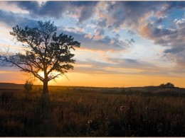 Aleetet loft-photo（一）