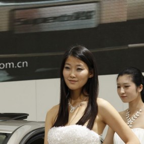 十一车展报名帖