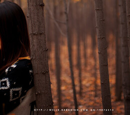 你还会想我吗？