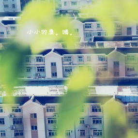 镜子乱拍&晴。系