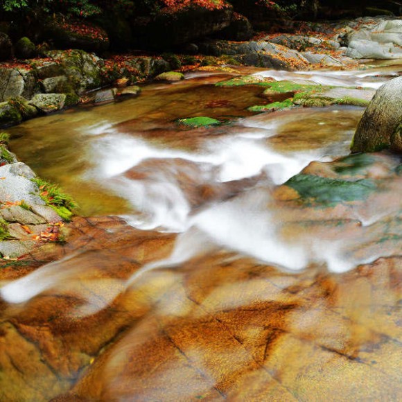 养眼的光雾山—水