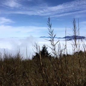 几年没来坛里了，发些最近出去玩的照片~~