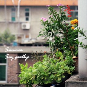 雨后初试小清新风格
