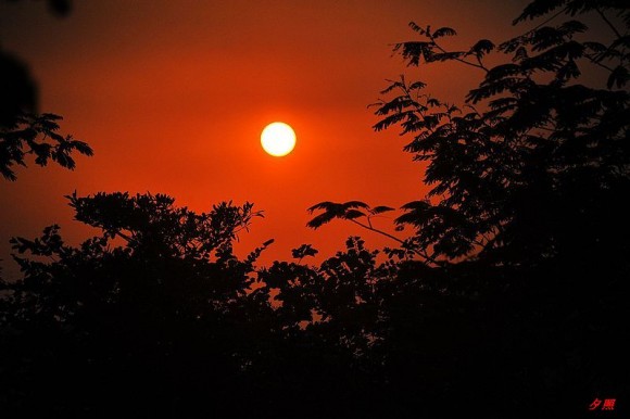 夕阳无限好，只是近黄昏