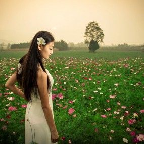 薰衣草庄园外拍