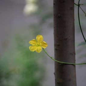 凉快天气，和傲尘在长乐公园见面