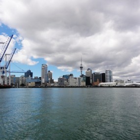 抵达新西兰，在奥克兰邂逅欢快的海豚