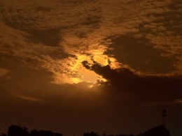 闲来无事手机拍的