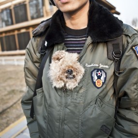 大象与多多狗的故事……