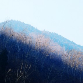 ————深冬秦岭————