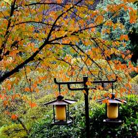 走进唐大慈恩寺遗址公园