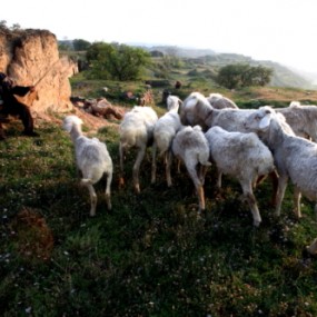 尧头窑遗址随拍