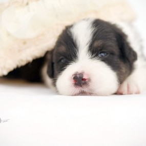 嘘~~别吱声......