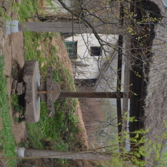 走到商洛市黑龙口梁坪村