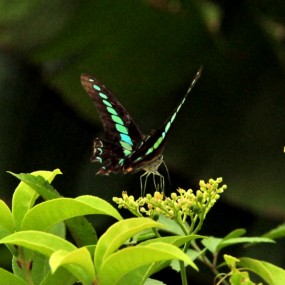 陕南乡间——雨后