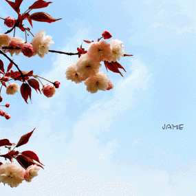 新手 求损 求点评 求指导