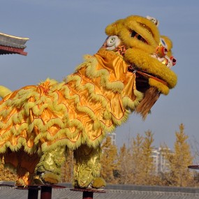 舞狮表演芙蓉园