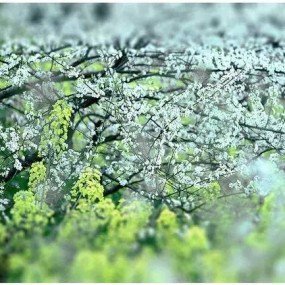 你那叫拍照，这才叫摄影！