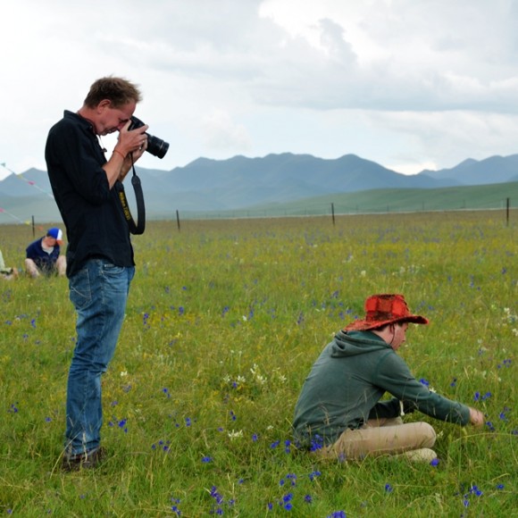 美丽说甘南——桑科草原