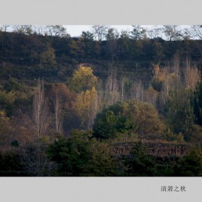 清萧之秋