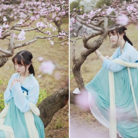 花之颜（古风）