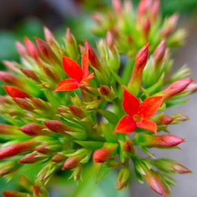 松下卡片机（LF1型）随拍