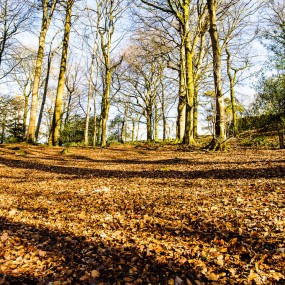 《这迷人的水，醉人的山---3月迷失在英伦湖区》