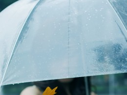 一直很安静--安小惜