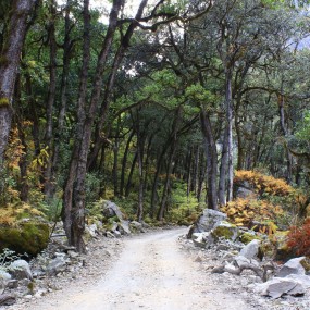 我的单车，我的梦