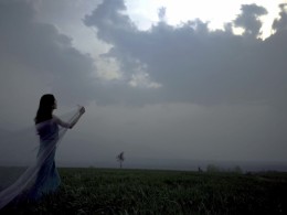 芳草地（二）凤的气息