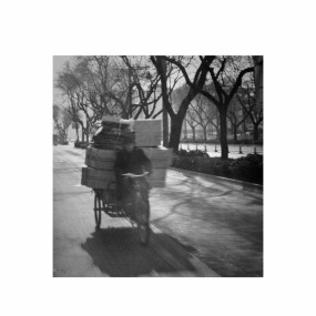 午后，路上的阳光