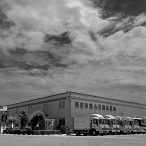 红外效果下的爱菊豆业