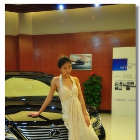 香车靓模绚风采（一）