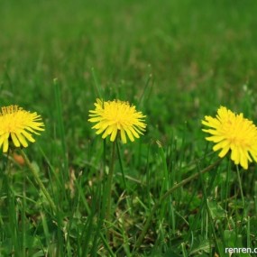 12.4.10  兴庆  交大 乱拍 碰见顺顺老师了！（各位大神请清点拍砖啊）