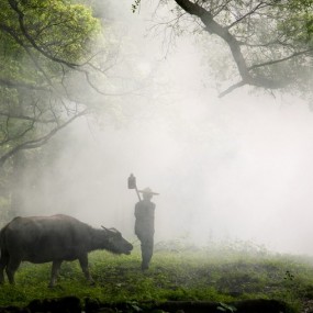 【霞浦．晨作】