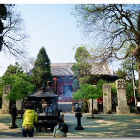 北京：法源寺随拍