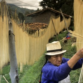 用摄影援助贫困：2015CGAP摄影大赛获奖作品