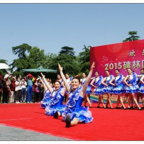 欢乐百姓 舞动幸福--广场舞大赛（续）