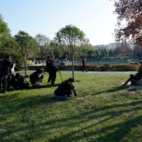 西高新蹭拍人像