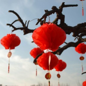 灯笼高挂迎新春