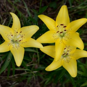 新进的501.8G如何 大家说了算