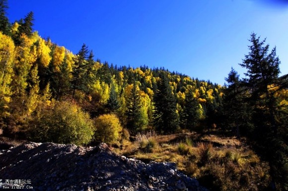 大美青海——层林尽染坎布拉