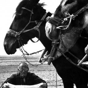 忙里偷闲-------大荔李世居摄影