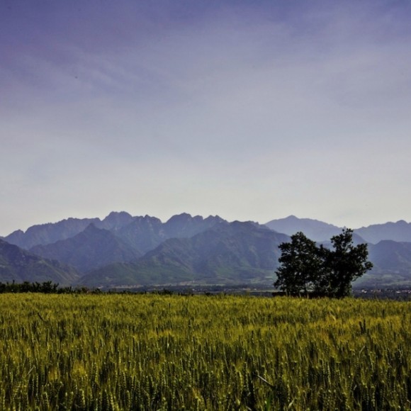 秦岭原野风光（一）