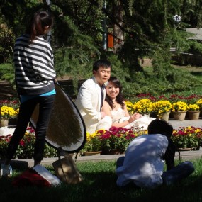 今天是个好日子