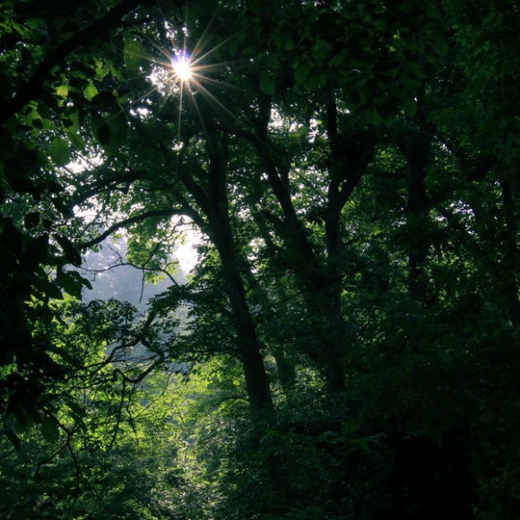 星期六的习作--南五台