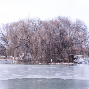 没有雪的浐灞也很有味道~